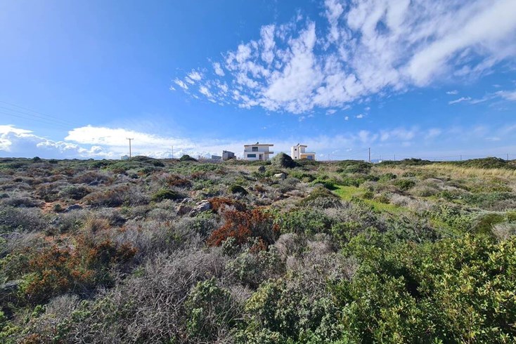 Realty photo 1