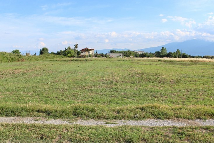 Realty photo 1