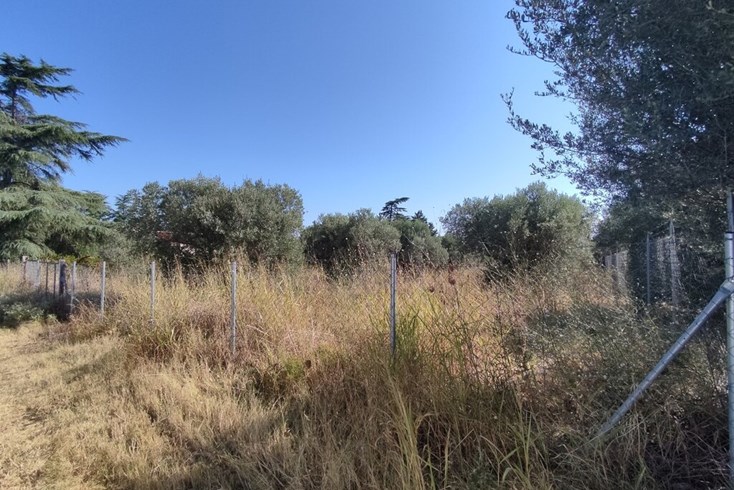 Realty photo 3