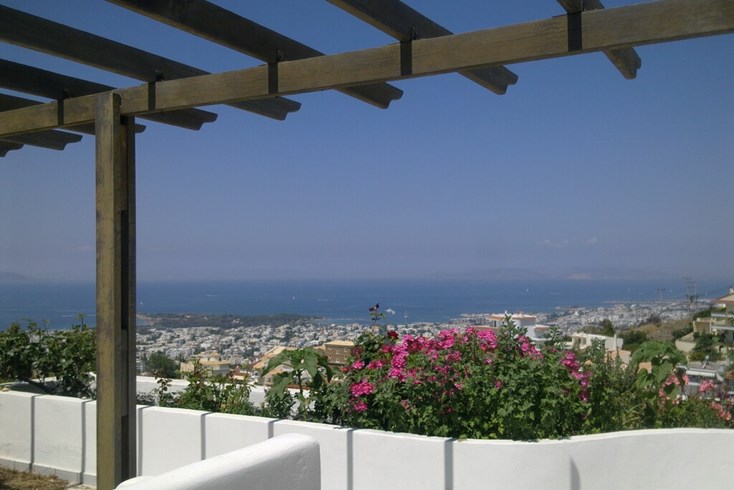 Realty photo 2