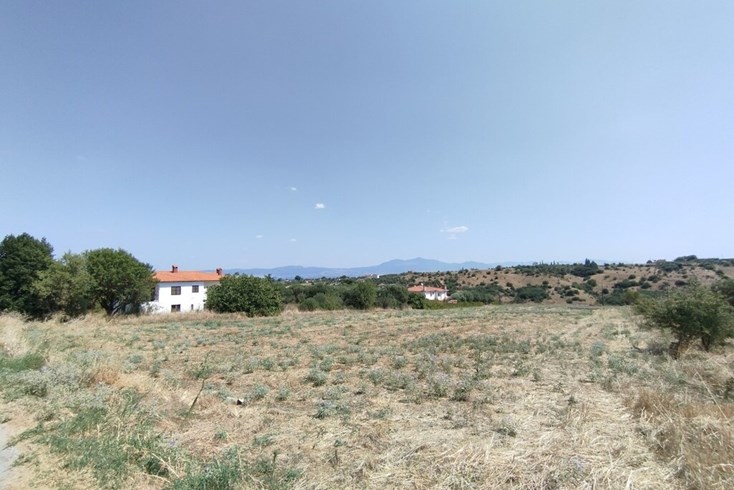 Realty photo 1