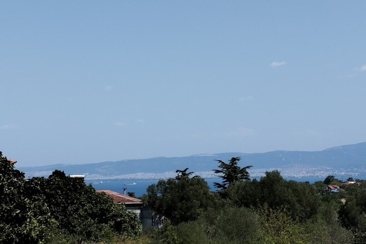 Realty photo 3