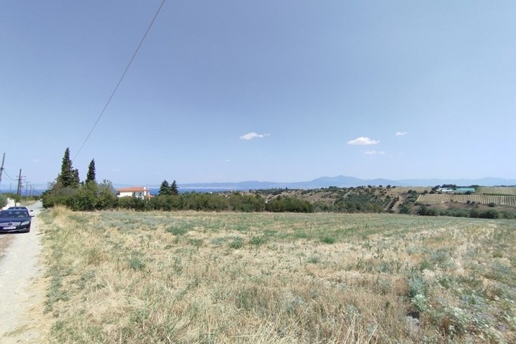 Realty photo 1