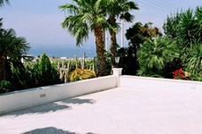 Property 564 photo 5