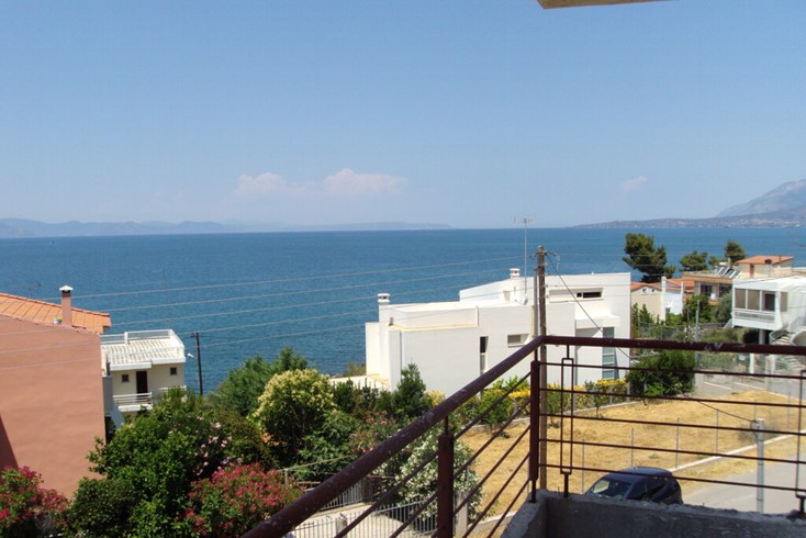 Realty photo 1