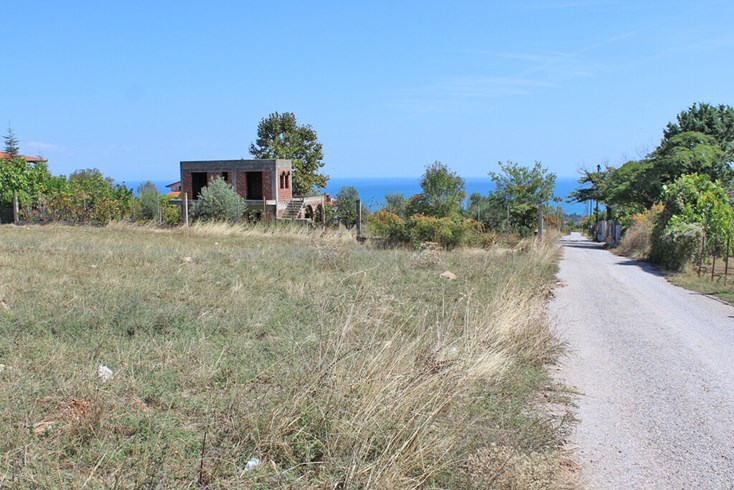 Realty photo 3