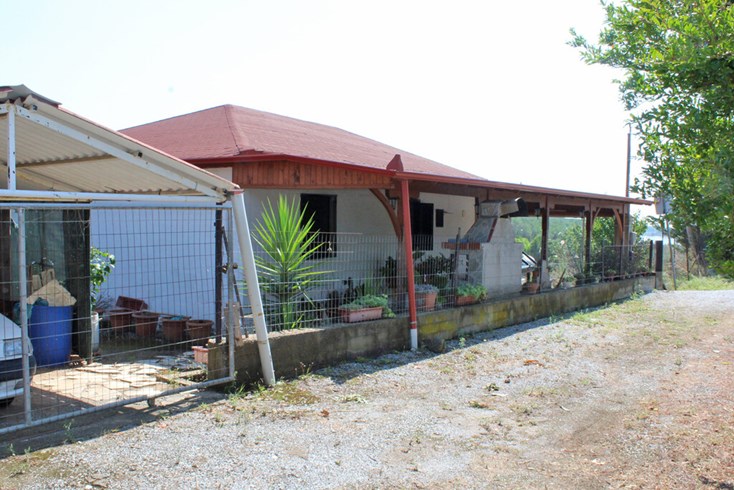 Realty photo 1