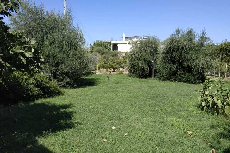 Realty photo 1