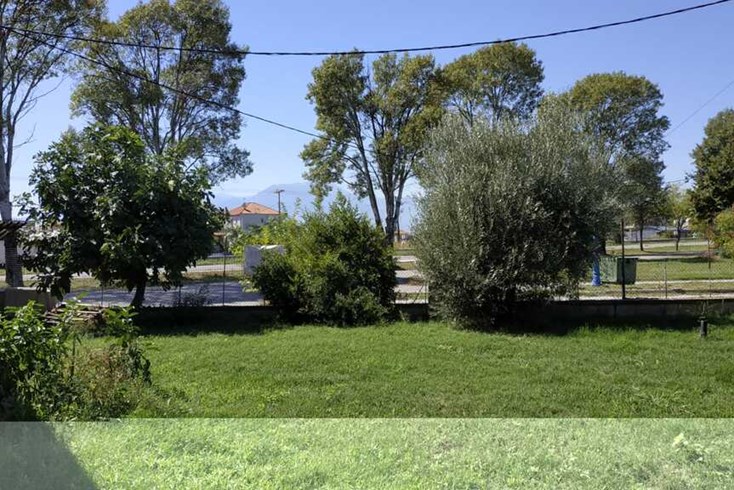 Realty photo 2
