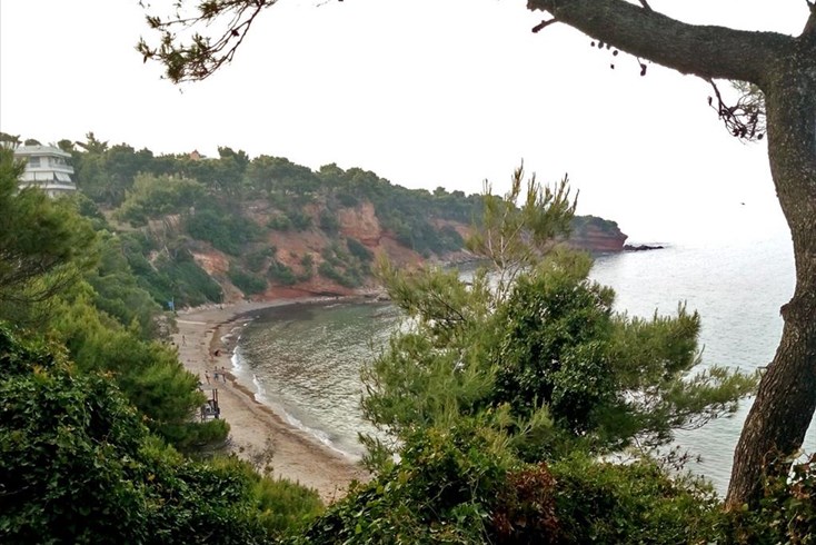 Realty photo 1