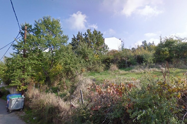 Realty photo 1