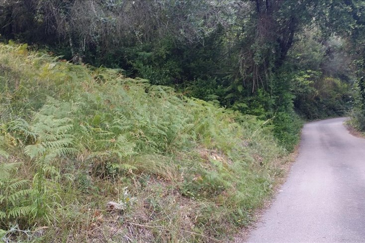 Realty photo 1