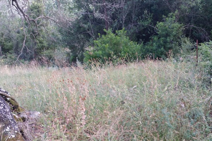 Realty photo 2