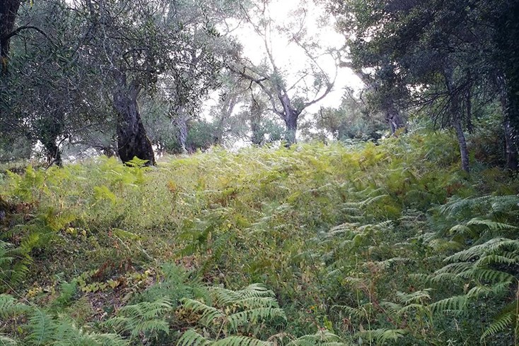 Realty photo 3