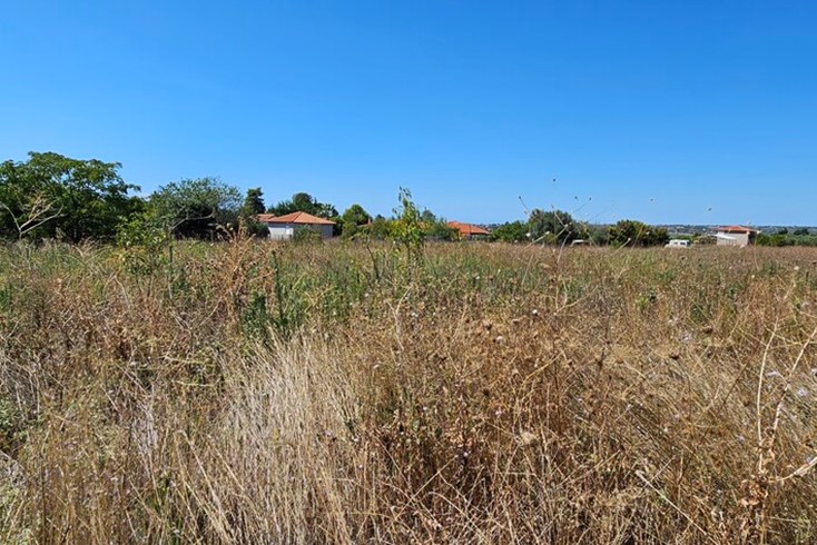 Realty photo 2