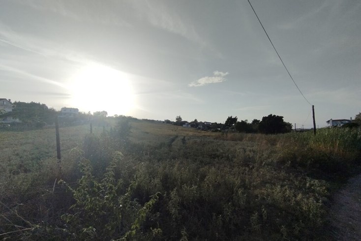 Realty photo 1
