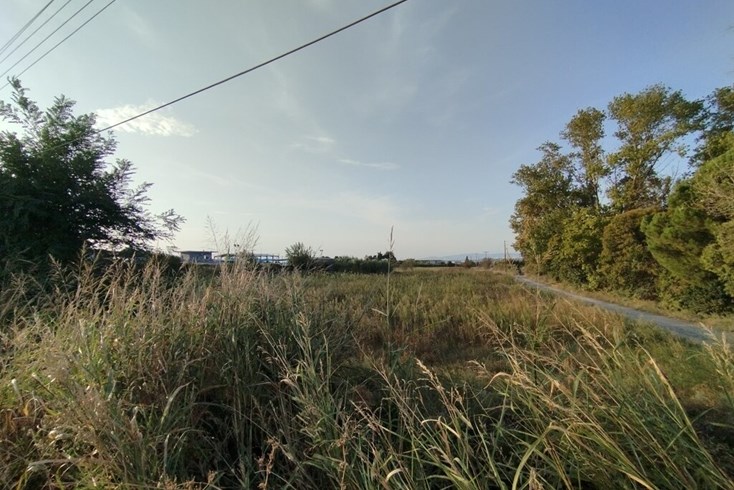 Realty photo 1