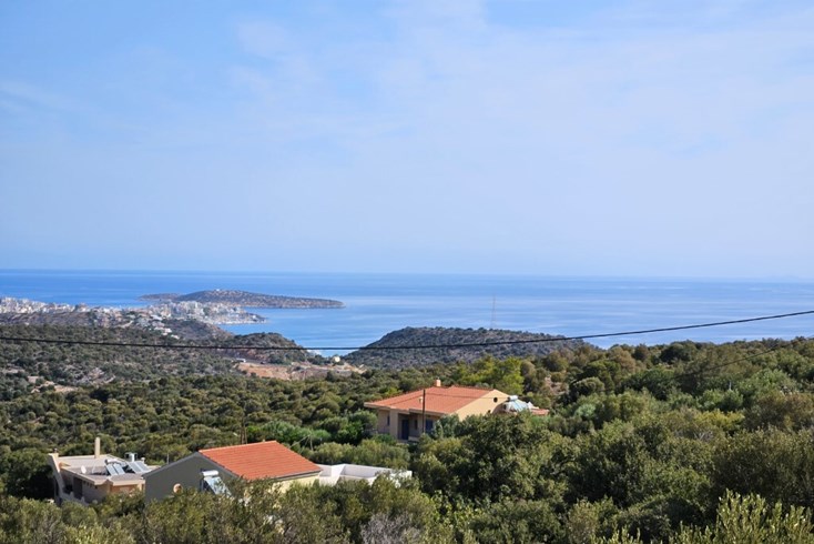 Realty photo 2