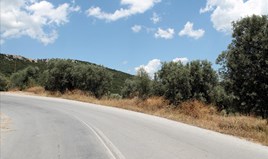 Land 5568 m² in Sithonia, Chalkidiki