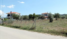 Arsa 2000 m² Sithonia’da (Chalkidiki)