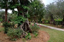 Property 5681 photo 9