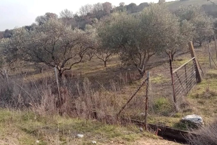 Realty photo 2
