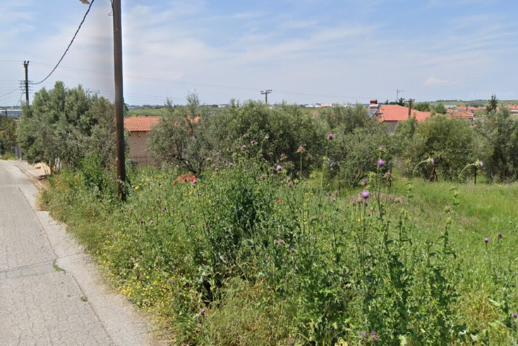 Realty photo 1