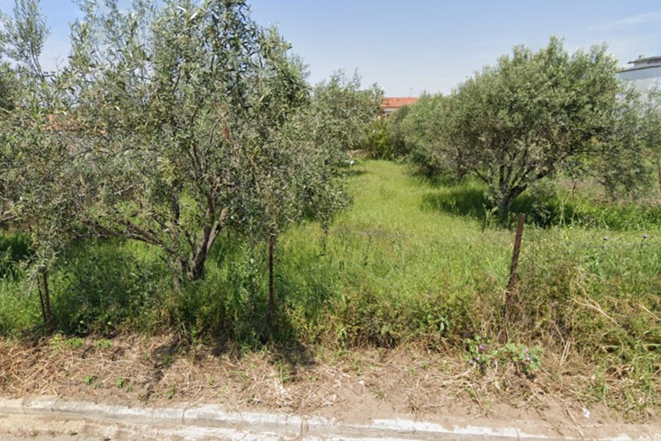 Realty photo 2