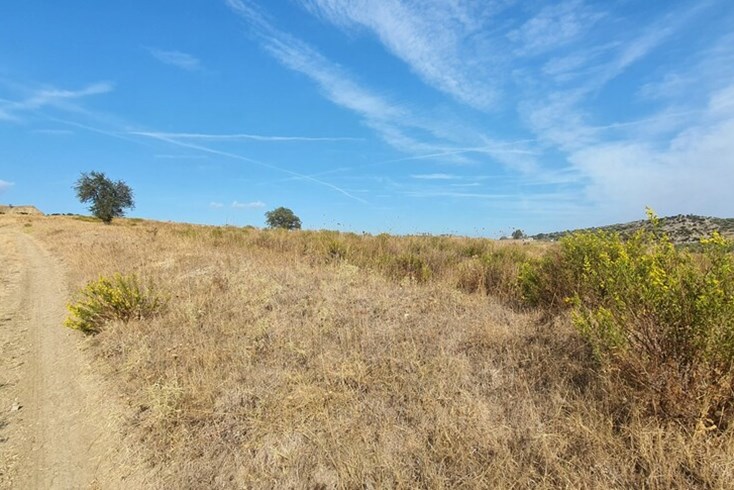 Realty photo 1