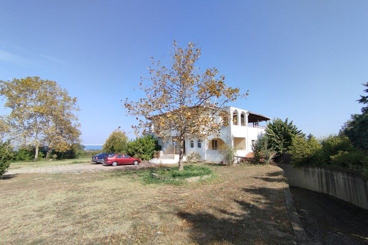Realty photo 1