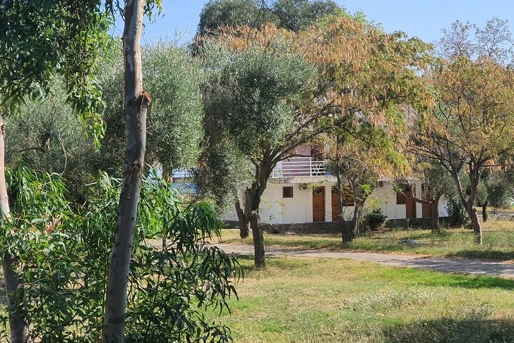 Realty photo 3