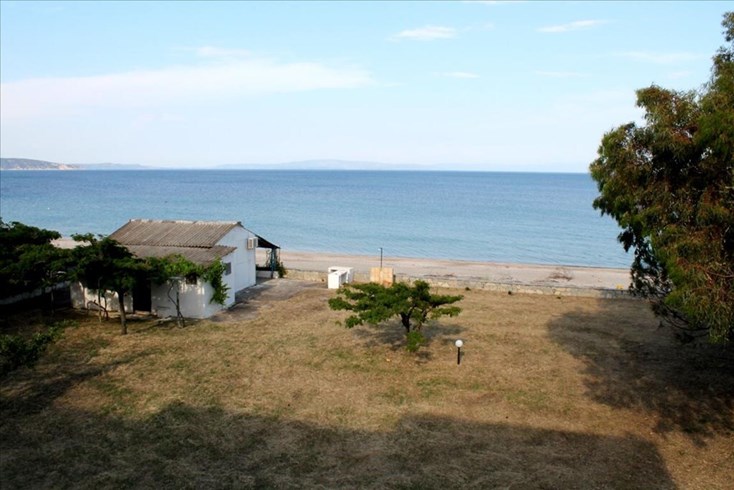 Realty photo 1