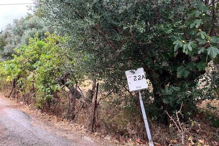 Realty photo 3