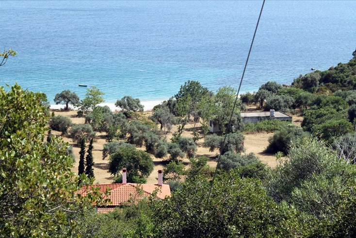 Realty photo 3