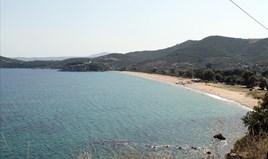Land 8620 m² in Athos, Chalkidiki