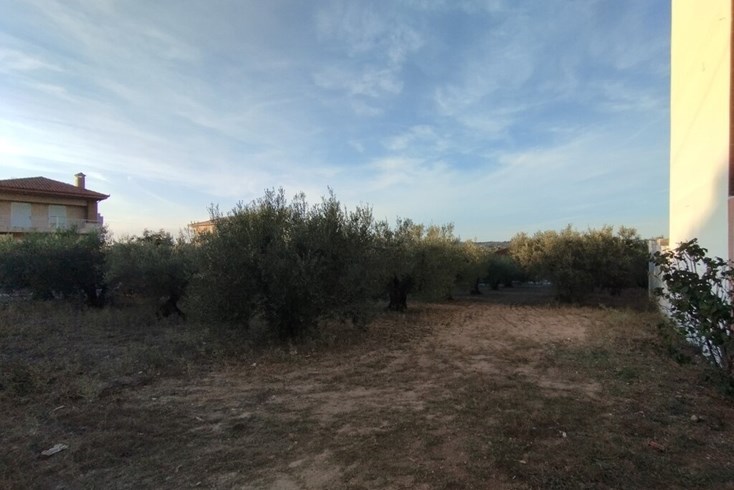 Realty photo 1