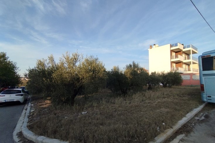 Realty photo 3