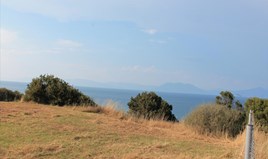 Zemljište 10450 m² na Zapadnom Peloponezu