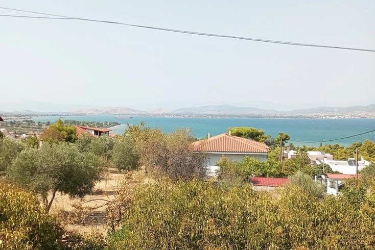 Realty photo 3