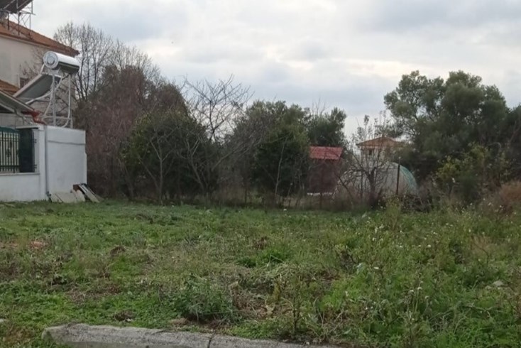 Realty photo 1