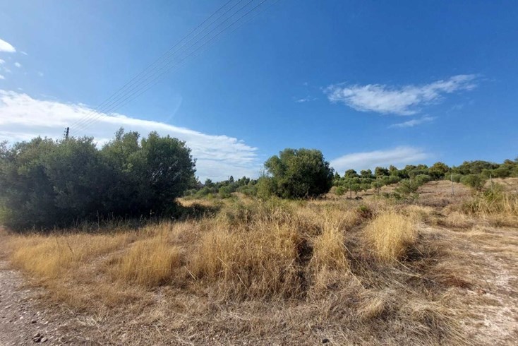 Realty photo 1