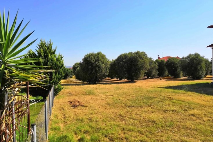 Realty photo 2