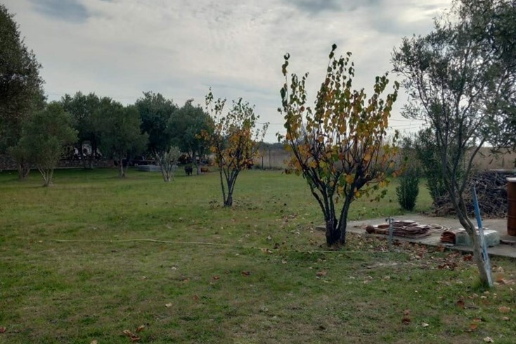 Realty photo 3