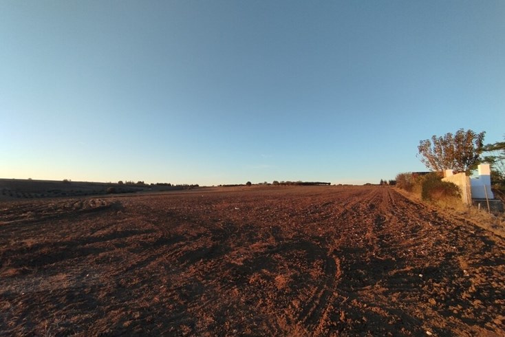 Realty photo 1