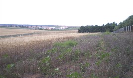 Land 4370 m² auf Kassandra (Chalkidiki)