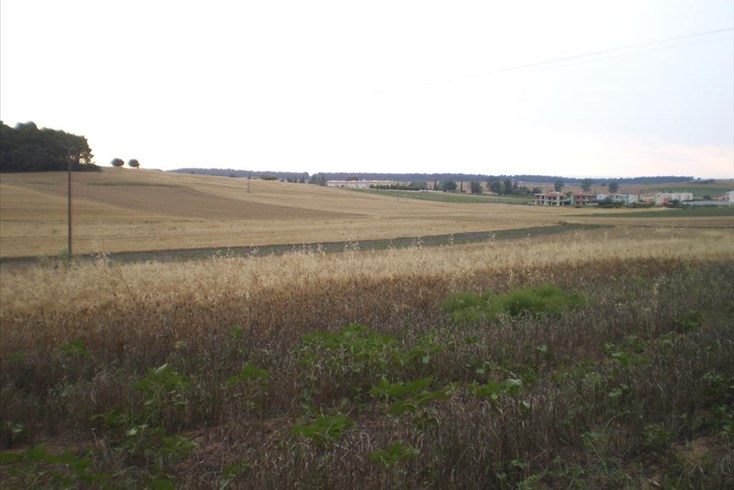 Realty photo 3