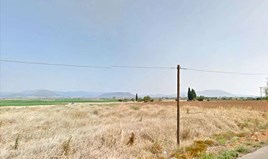 Land 6000 m² in central Greece