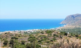 Land 10061 m² in Crete