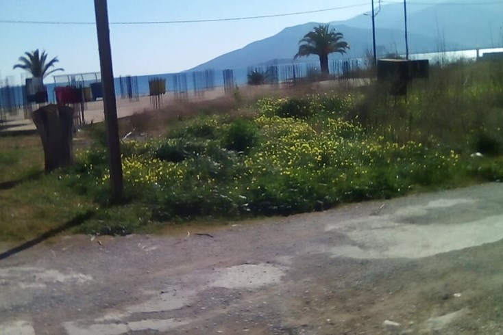 Realty photo 3