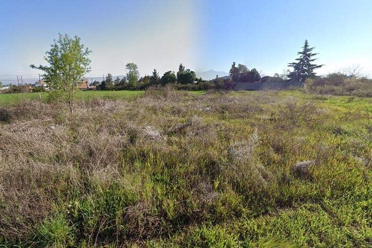 Realty photo 3
